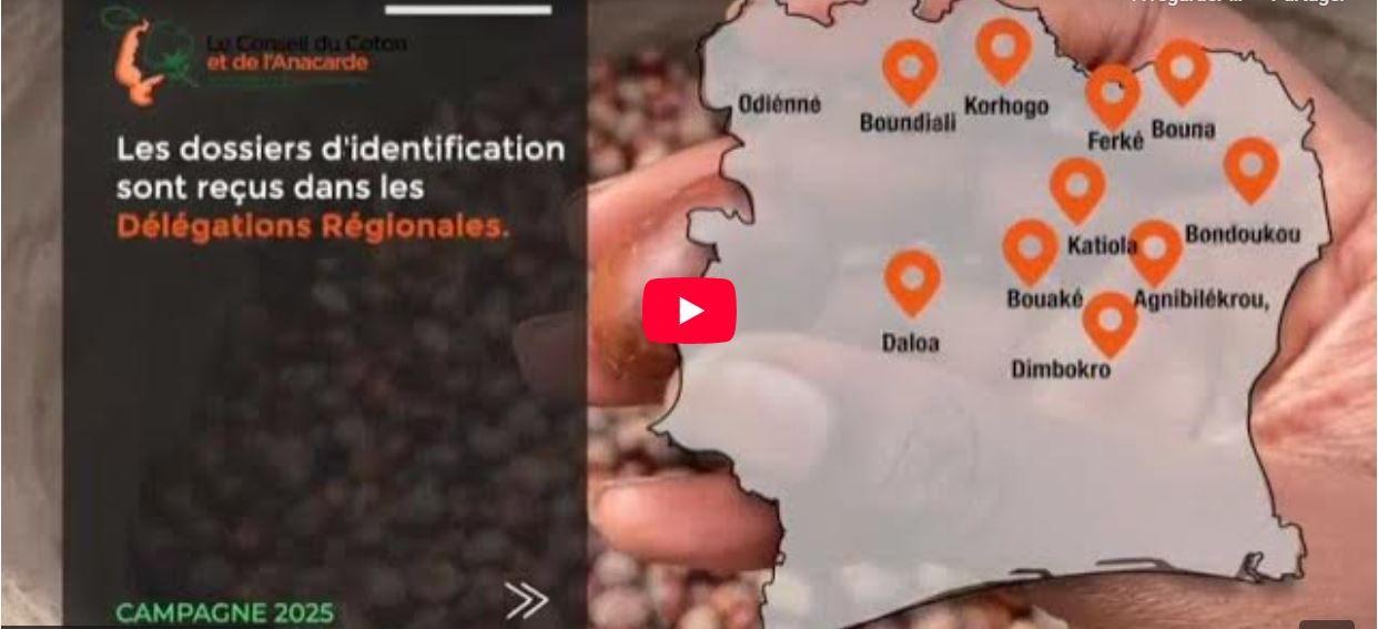 IDENTIFICATION DES ACTEURS DE LA CHAINE DE VALEUR DE LA FILIERE KARITE AU TITRE DE LA CAMPAGNE 2025