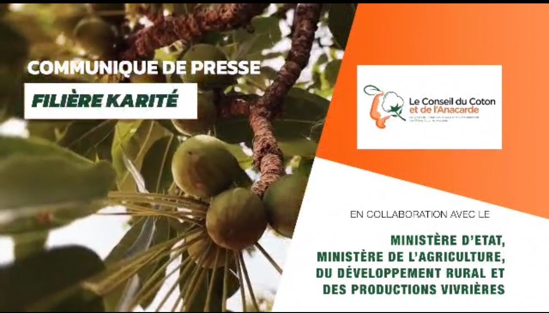 description de l'illustration